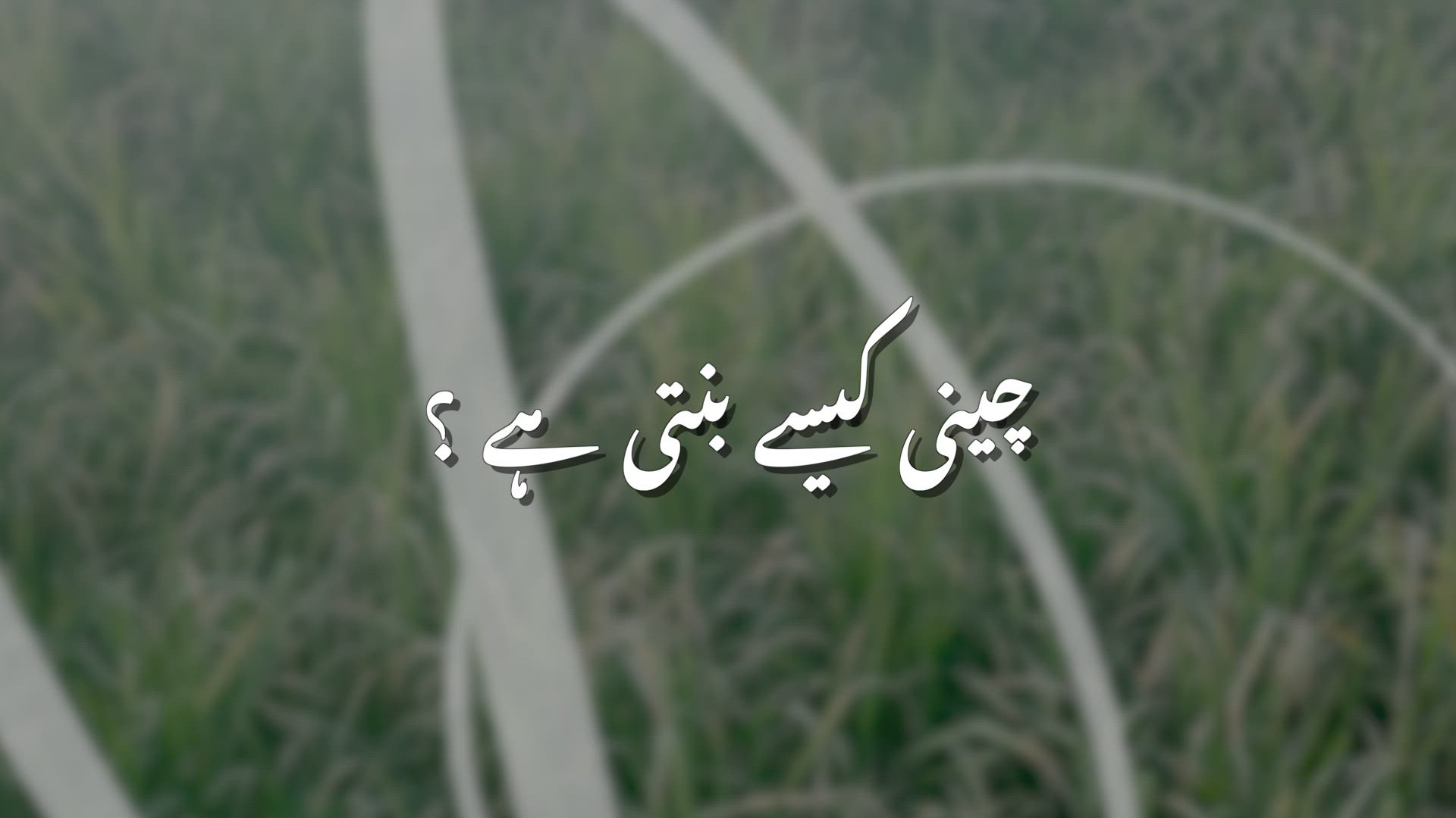 The Process Of Manufacturing Sugar