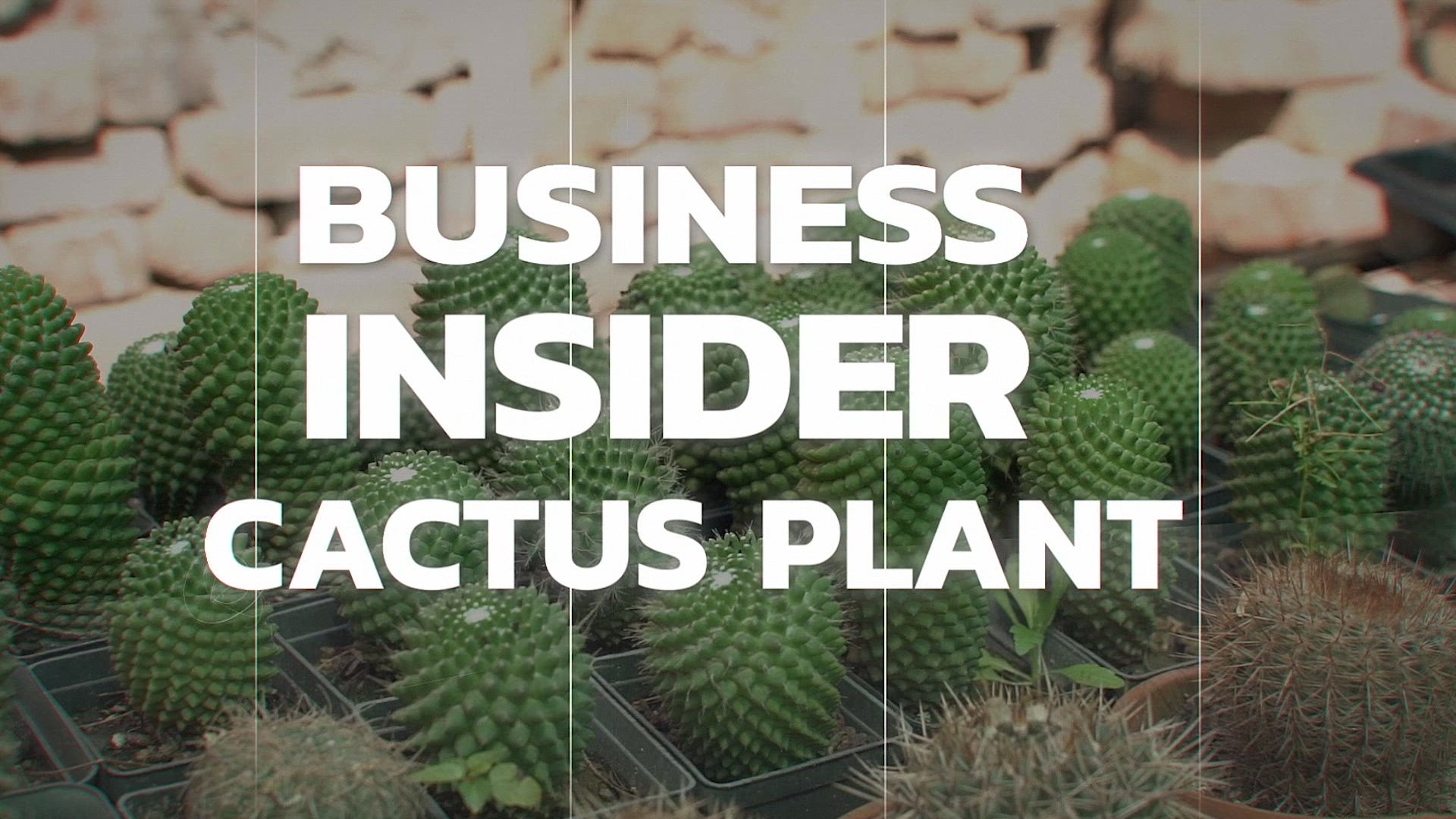 Business Insider
